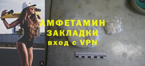 крисы Каменка