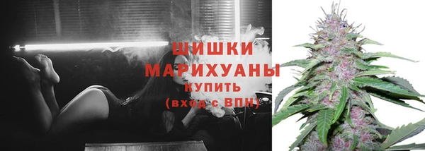 крисы Каменка