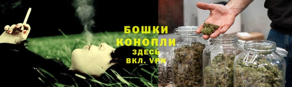 крисы Каменка