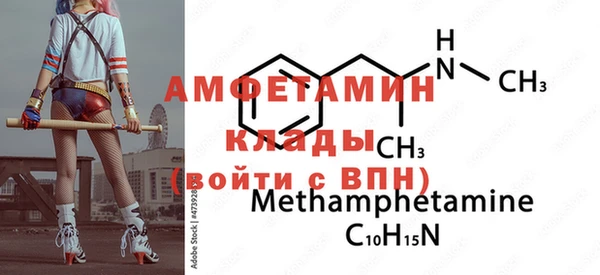крисы Каменка