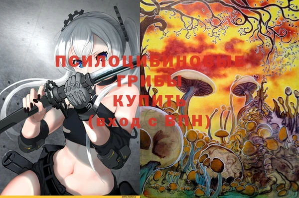 кокаин премиум Каменск-Шахтинский