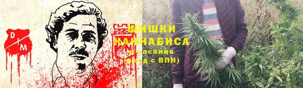 крисы Каменка