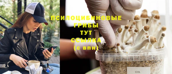 кокаин премиум Каменск-Шахтинский