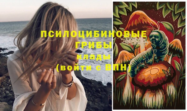 крисы Каменка