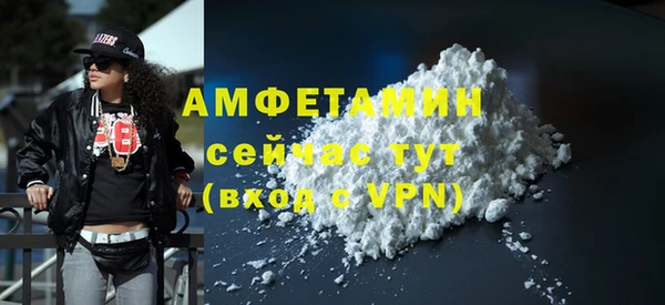 крисы Каменка
